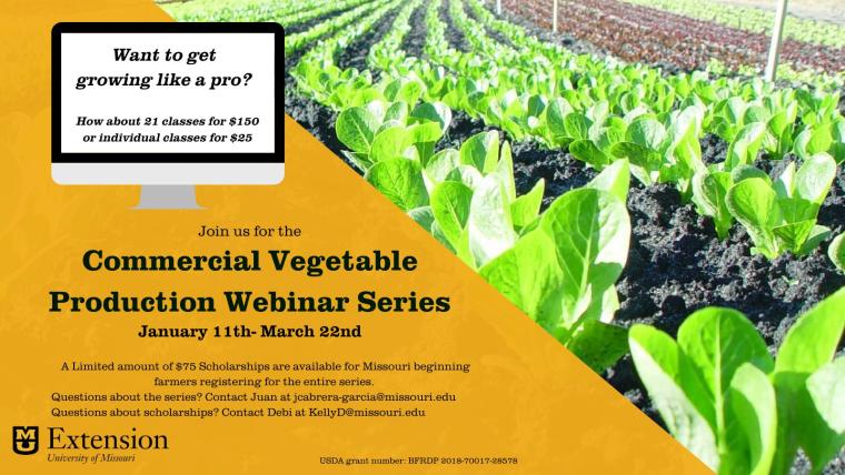 Commercial Vegetable Production Webinar Series flyer